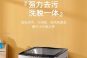 自动洗衣机漂脱功能解释是什么？