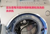 没有浸泡功能的洗衣机如何清洗（有效清洗衣物的替代方法）
