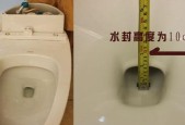 解决马桶堵塞的方法（利用开水清理马桶堵塞）