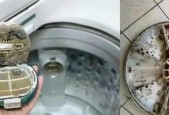 如何清洗洗衣机里的污垢（简单有效的清洁方法）