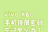 vivo手机加锁软件的方法是什么？如何保护手机中的软件？