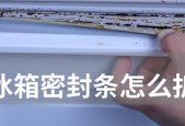 揭秘冰箱后盖的拆卸方法（轻松解开冰箱后盖的神秘面纱）