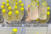 海宝柠檬plus屏幕不亮怎么办？原因是什么？