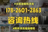 如何有效清洗网上的油垢（掌握清洗技巧）