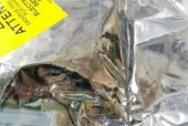 揭开以德龙咖啡机出水原因的神秘面纱（解析以德龙咖啡机出水原因的各种可能性）