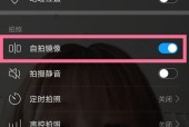 回声模拟器如何设置？设置中常见问题有哪些？