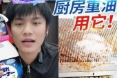 居家油烟机清洗小贴士（轻松掌握清洗技巧）