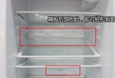 揭秘风冷冰箱异味的来源和处理方法（风冷冰箱异味的成因及消除秘籍）