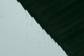 下雨天如何用苹果手机拍出好照片？有哪些技巧？