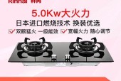 林内燃气灶显示11的问题解决方法（如何应对林内燃气灶显示11的故障）