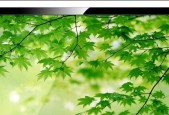 数码电视机无响应？快速诊断与解决方法指南