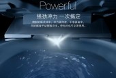 美标智能马桶喷头溢水原因及维修注意事项（了解美标智能马桶喷头溢水原因）