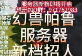 帕鲁加速器哪个服务器更稳定？选择哪个服务器更合适？