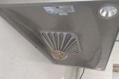 老板抽油烟机圆盘拆卸方法（简明易懂的操作步骤帮你解决问题）
