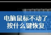 电脑鼠标不动了是怎么回事（探究电脑鼠标失去响应的原因及解决方法）