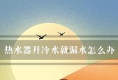 热水器加水口漏水的原因及解决方法（热水器加水口漏水可能导致的问题及预防措施）