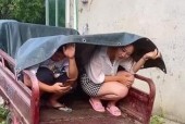 摆摊支架手机的正确使用方法是什么？