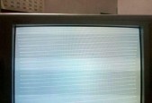 电视机无声音的原因及解决方法（探究电视机没有声音的可能原因）