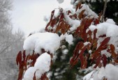 喜雪油烟机拆卸清洗步骤是什么？需要多长时间？