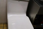 如何处理法恩莎马桶漏水问题（探究法恩莎马桶漏水原因及解决方法）