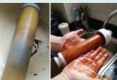 净水器滤芯中存在塑料污染的解决方案（如何解决净水器滤芯中塑料污染问题）