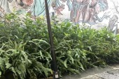 手机支架拍摄自然照片的技巧是什么？