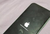苹果电脑开机无法启动解决办法（了解可能的原因）