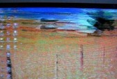 电视花屏的原因与解决方法（探究电视花屏的成因与解决方案）