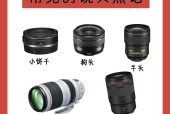 镜头连接的相机类型是什么？