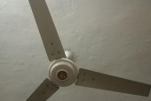 如何正确清洗吊扇的油烟机（简单易行的清洁方法让你的吊扇重获焕然一新）