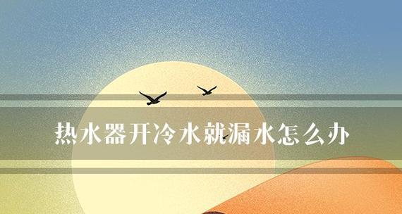 热水器加水口漏水的原因及解决方法（热水器加水口漏水可能导致的问题及预防措施）  第1张