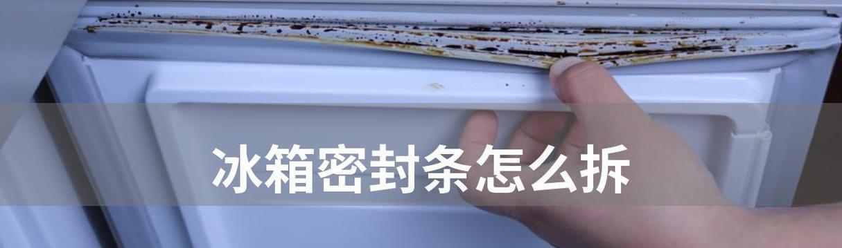 揭秘冰箱后盖的拆卸方法（轻松解开冰箱后盖的神秘面纱）  第1张