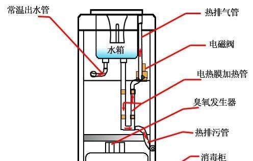 如何正确固定宠物自动饮水机？常见问题有哪些？  第1张