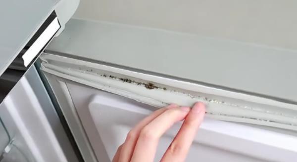 冰箱密封条发霉了怎么办？有效清洗方法有哪些？  第2张
