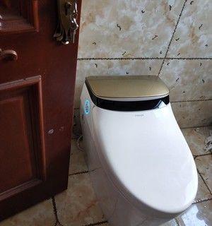 法恩莎马桶堵塞怎么办？最厉害的堵塞物是什么？  第2张