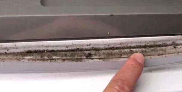 冰箱胶条可以拆下来清洗吗？如何正确清洁和保养？  第2张
