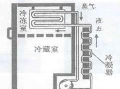 冰箱压缩机工作原理是什么？如何大致了解其运作方式？  第2张