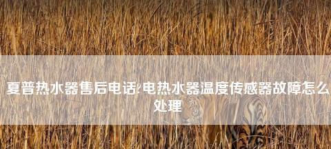 夏普电热水器故障代码e1代表什么？维修步骤有哪些？  第2张