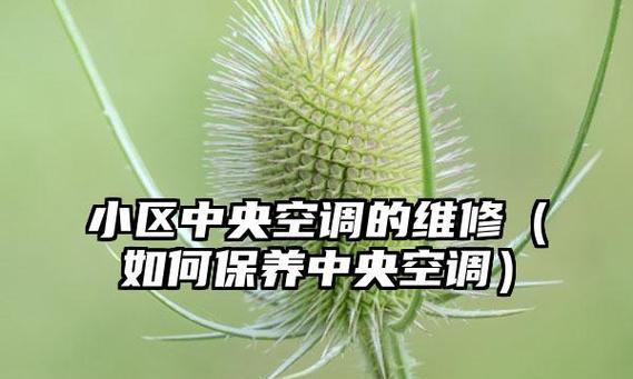 中央空调保养与维修的常见问题有哪些？  第3张