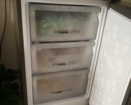 冰冻区异味困扰（冰箱冰冻区异味的来源和解决方法）  第2张