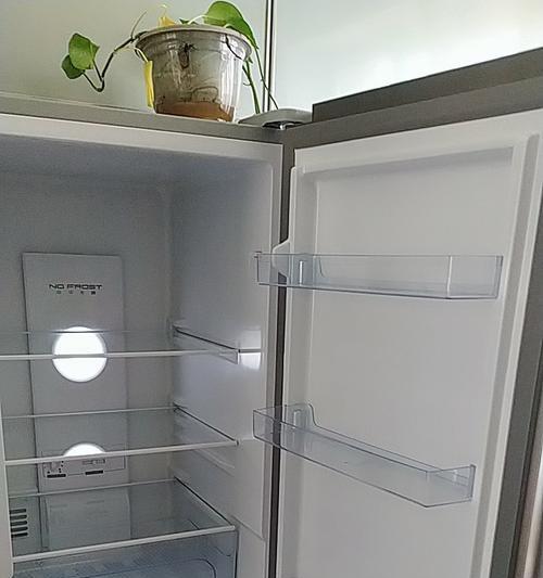 冰箱带电的原因及其安全隐患（解析冰箱带电的原因及其对人体的危害）  第1张