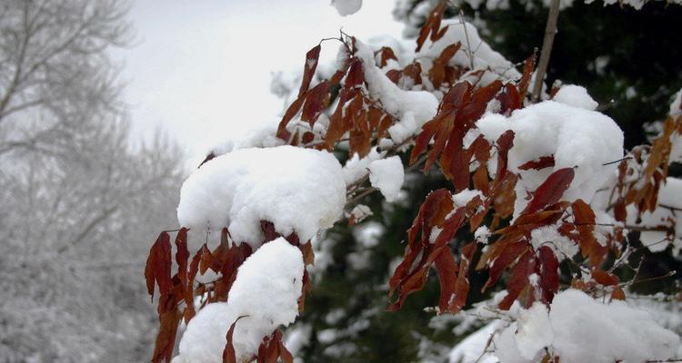 喜雪油烟机拆卸清洗步骤是什么？需要多长时间？  第1张