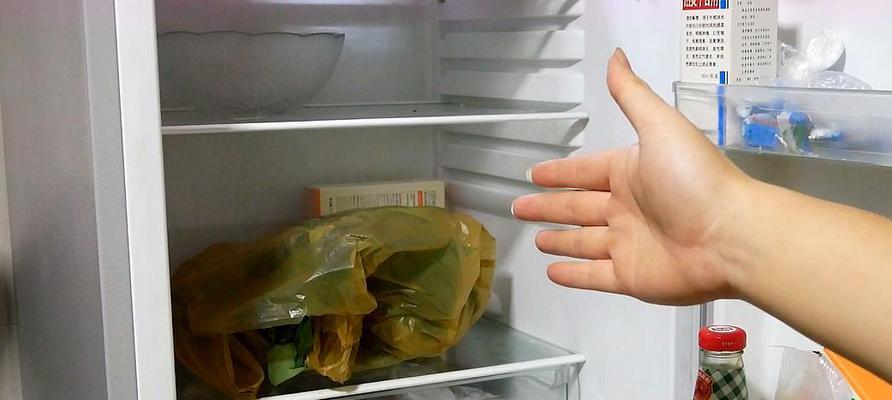 冰箱异味如何快速清除？恒温状态下有效去味技巧有哪些？  第3张