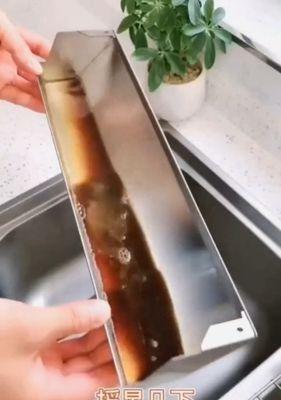 清洗油烟机时遇到螃蟹怎么办？有效清洗方法是什么？  第1张