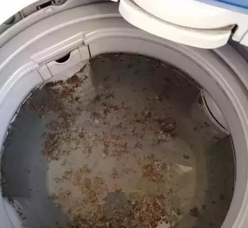 如何正确使用洗衣机消毒液进行清洗？清洗后有哪些注意事项？  第2张
