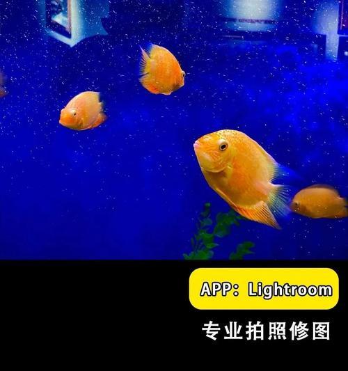 手机拍照感光器老化如何修复？有无简单方法？  第2张