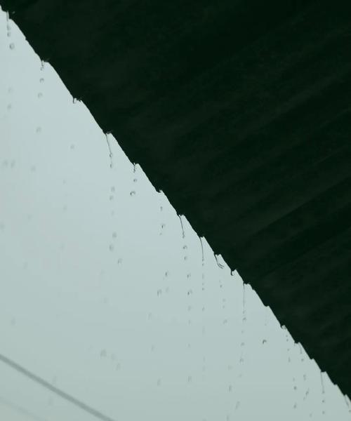 下雨天如何用苹果手机拍出好照片？有哪些技巧？  第1张