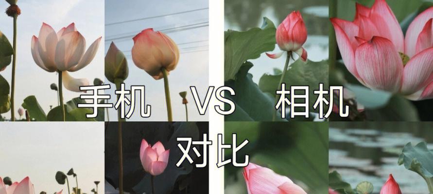 不能用手机相机怎么拍照片？有哪些替代方案？  第3张