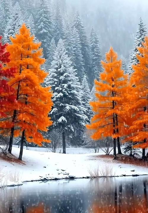 苹果手机如何获取雪景图片？有哪些方法？  第3张