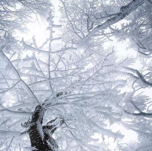 苹果手机如何获取雪景图片？有哪些方法？  第1张